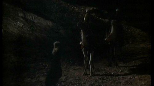 witch meets camels?