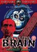 Cat In The Brain